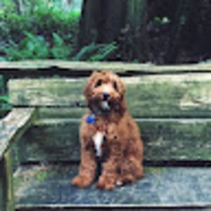 Meet your Posher, Joyce